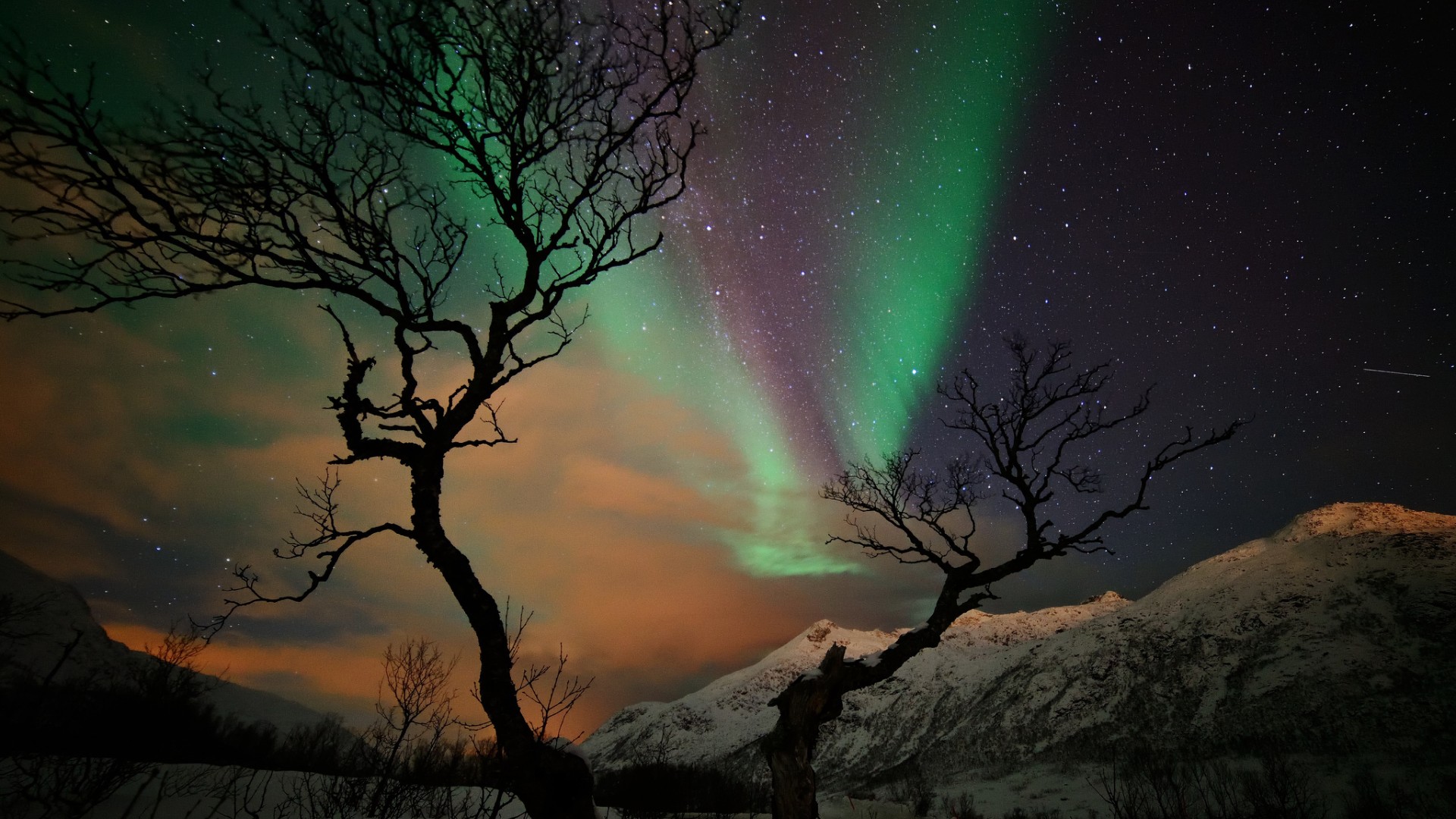 冬天的雪,山,树,晚上,星星,桌面高清壁纸