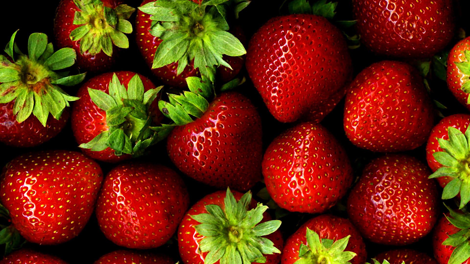 红草莓桌面高清壁纸