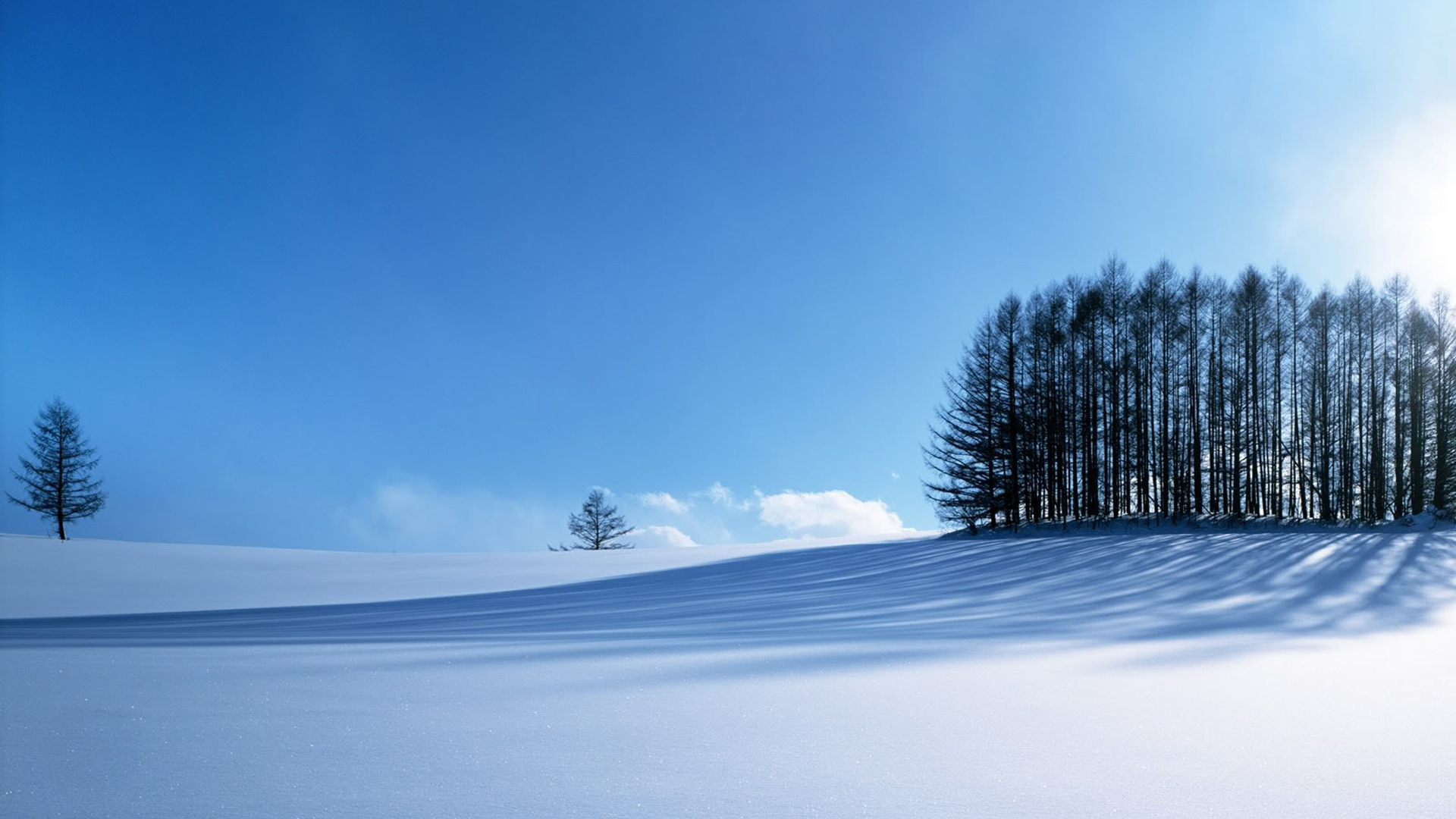 景观雪桌面高清壁纸