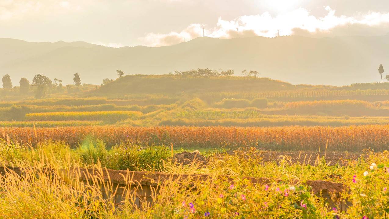 田野 4k秋色 风景高清壁纸