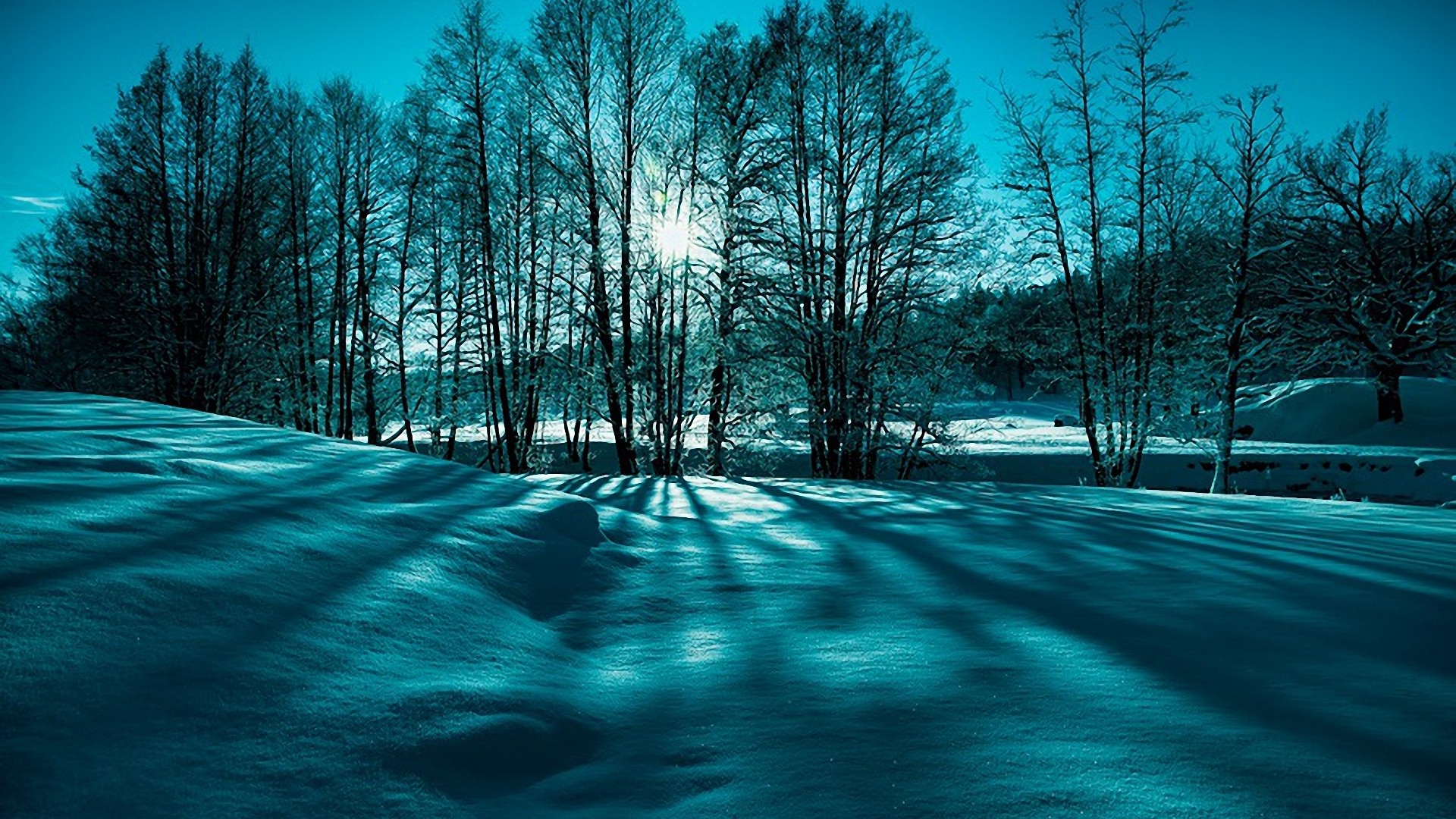 自然,冬天,雪,树,太阳,深蓝色风景桌面高清壁纸