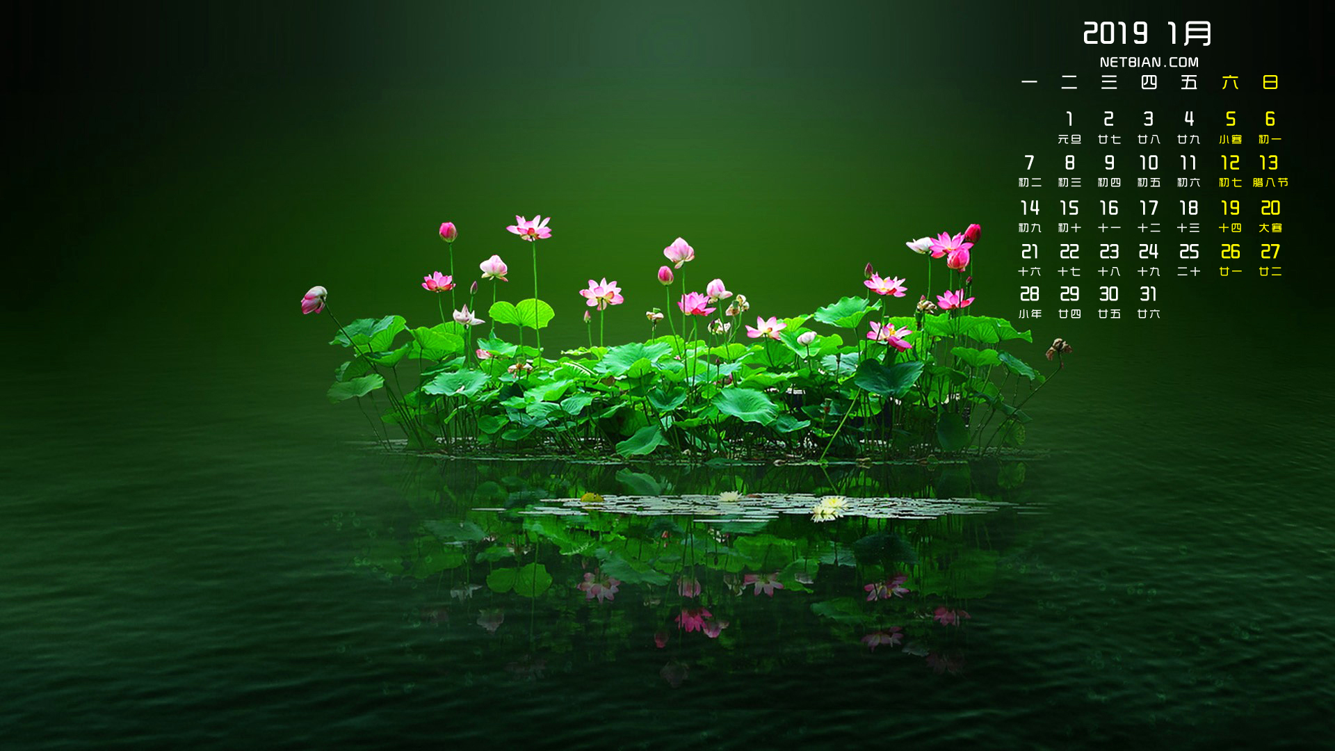 荷花2019年1月日历桌面高清壁纸