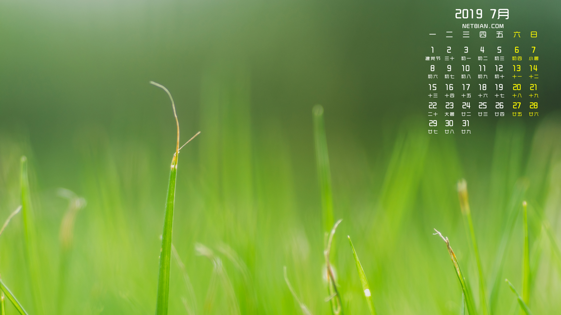 绿色小草2019年7月日历桌面高清壁纸护眼