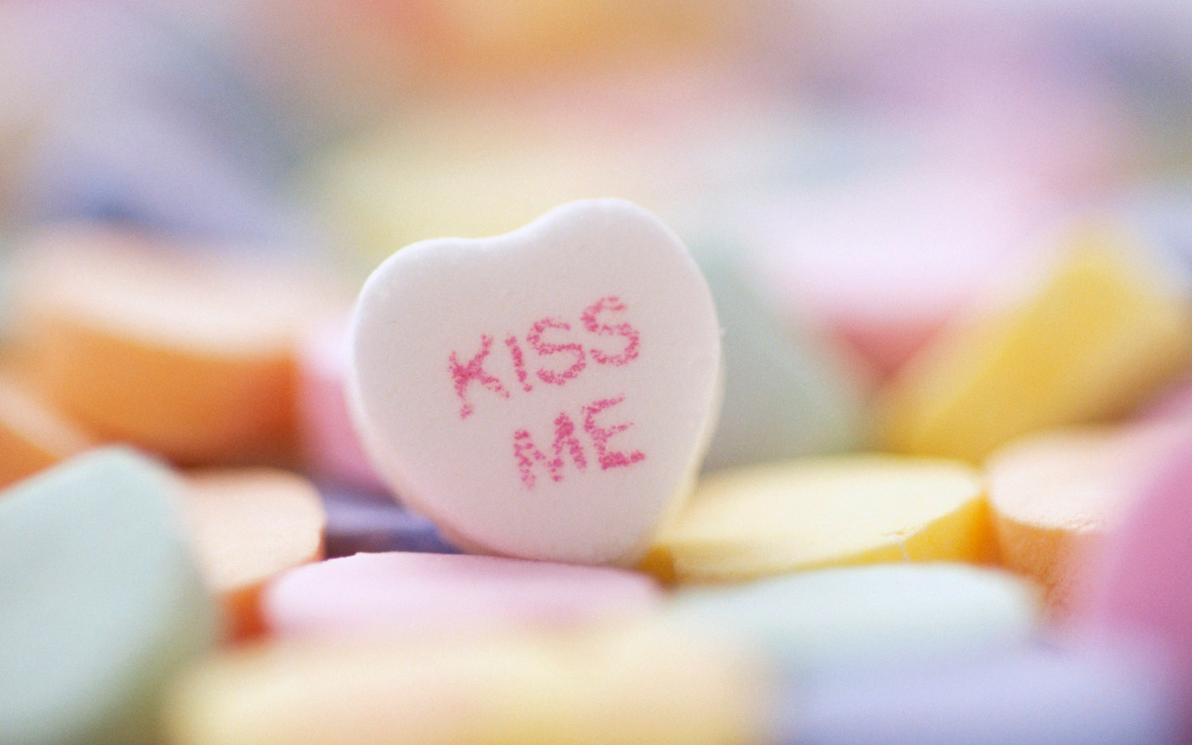 kiss me桌面高清壁纸