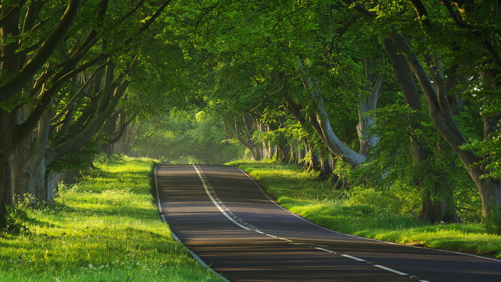 好看的公路风景桌面高清壁纸