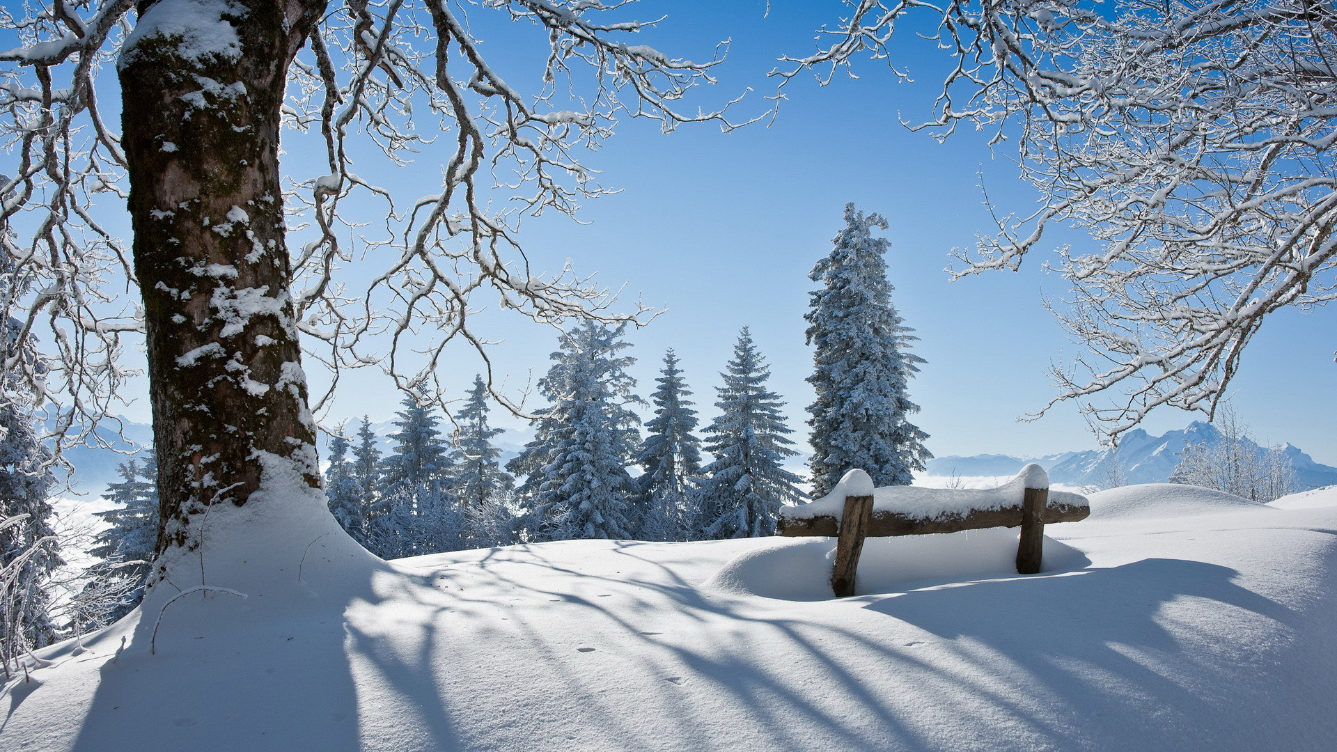 好看的冬季,树木,长椅,雪,风景宽屏桌面高清壁纸