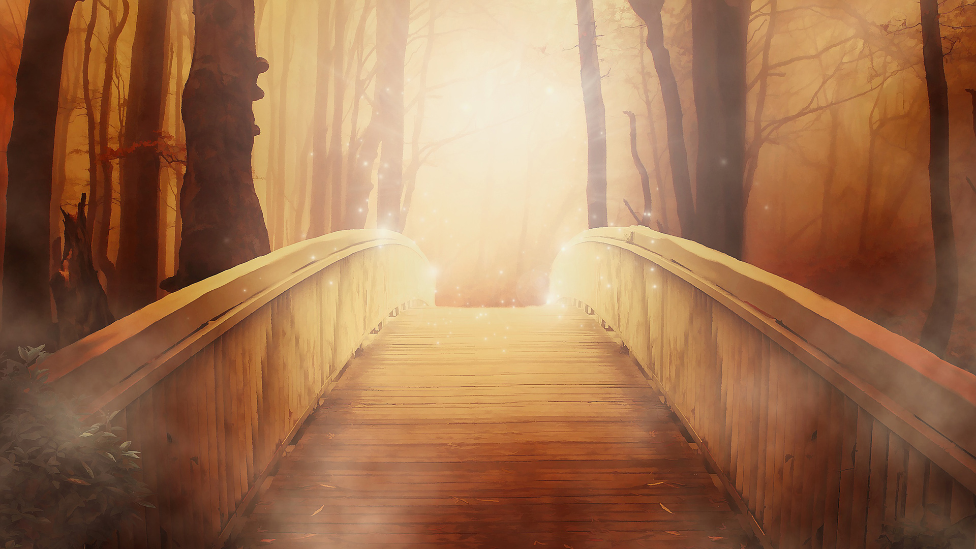 桥 光 神秘 森林 树 路径 桌面高清壁纸