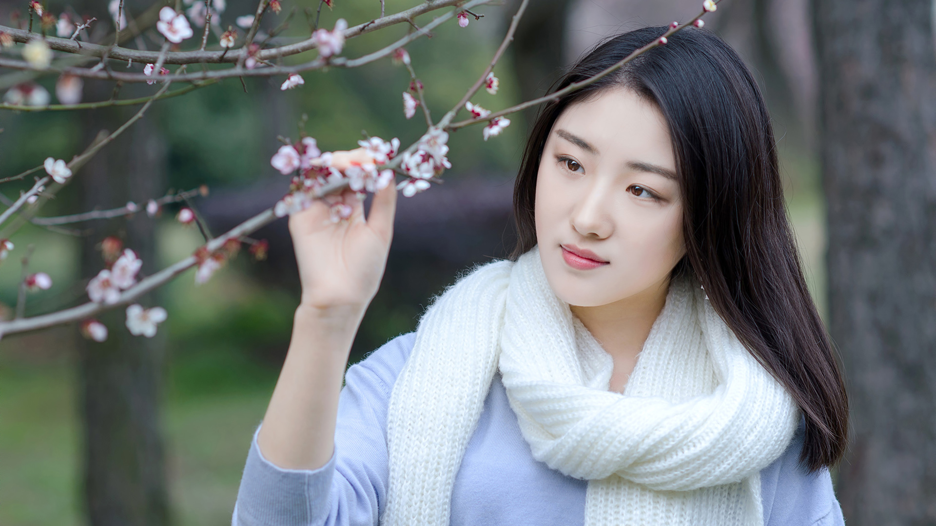 梅花香 梅花下的长发围巾清纯美女桌面高清壁纸