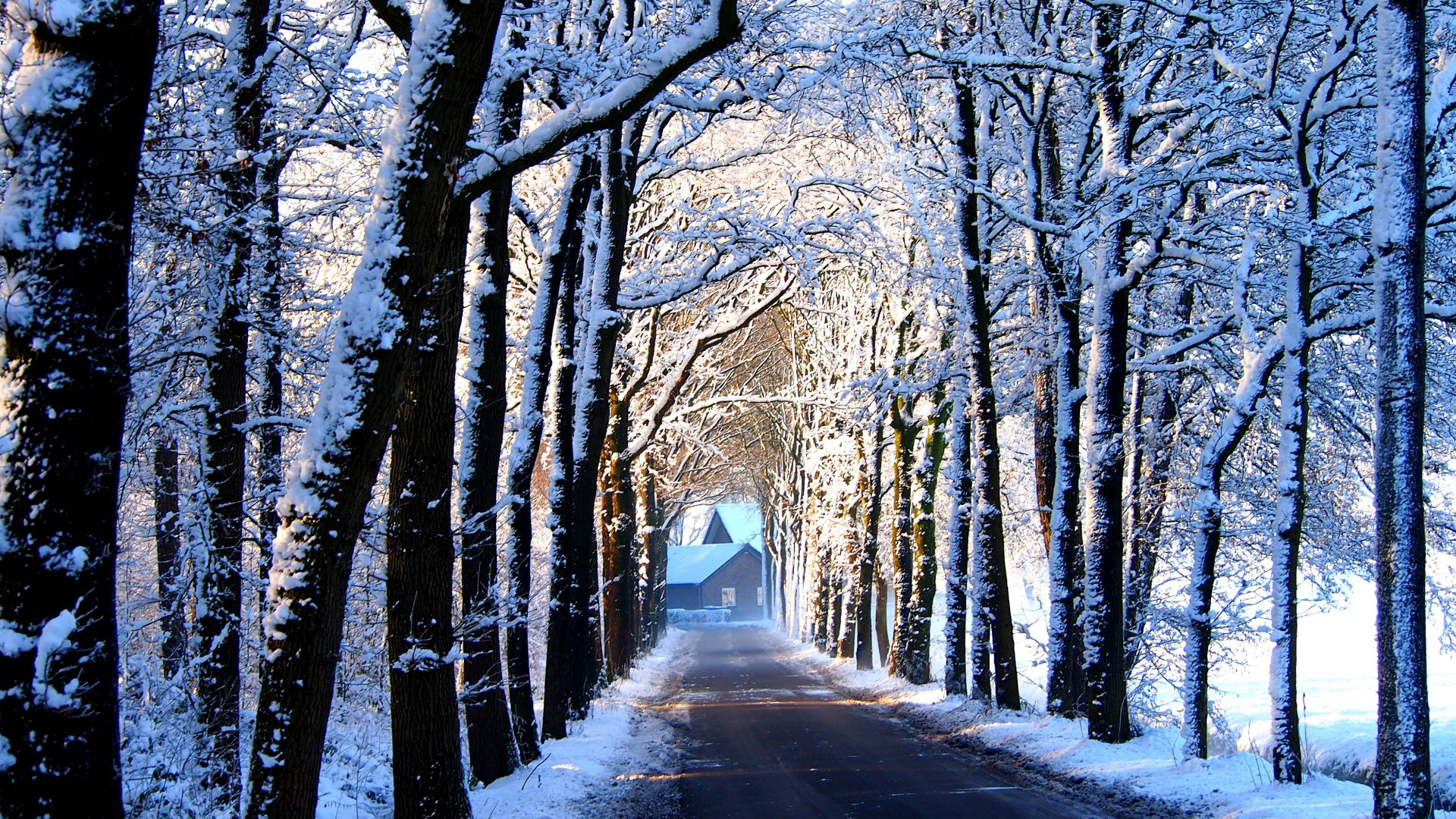 道路,树木,胡同,房子,雪,冬天的图片,桌面高清壁纸