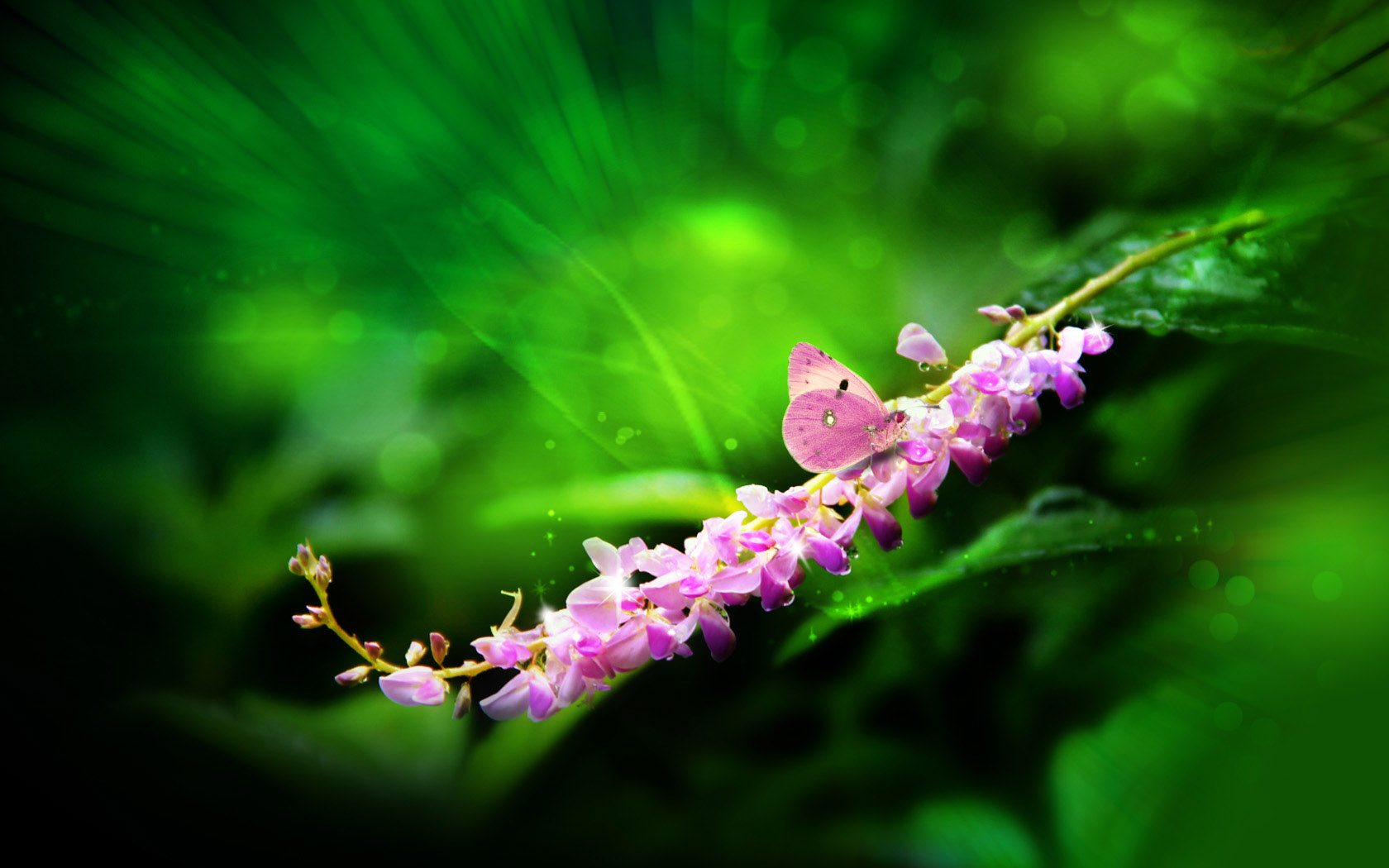 雨露电脑桌面高清壁纸