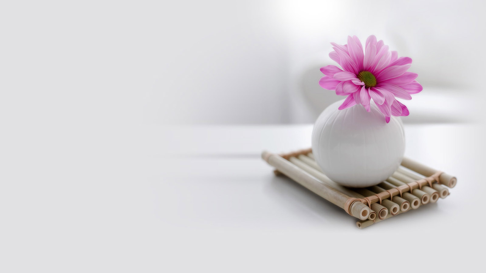 清新菊花桌面高清壁纸
