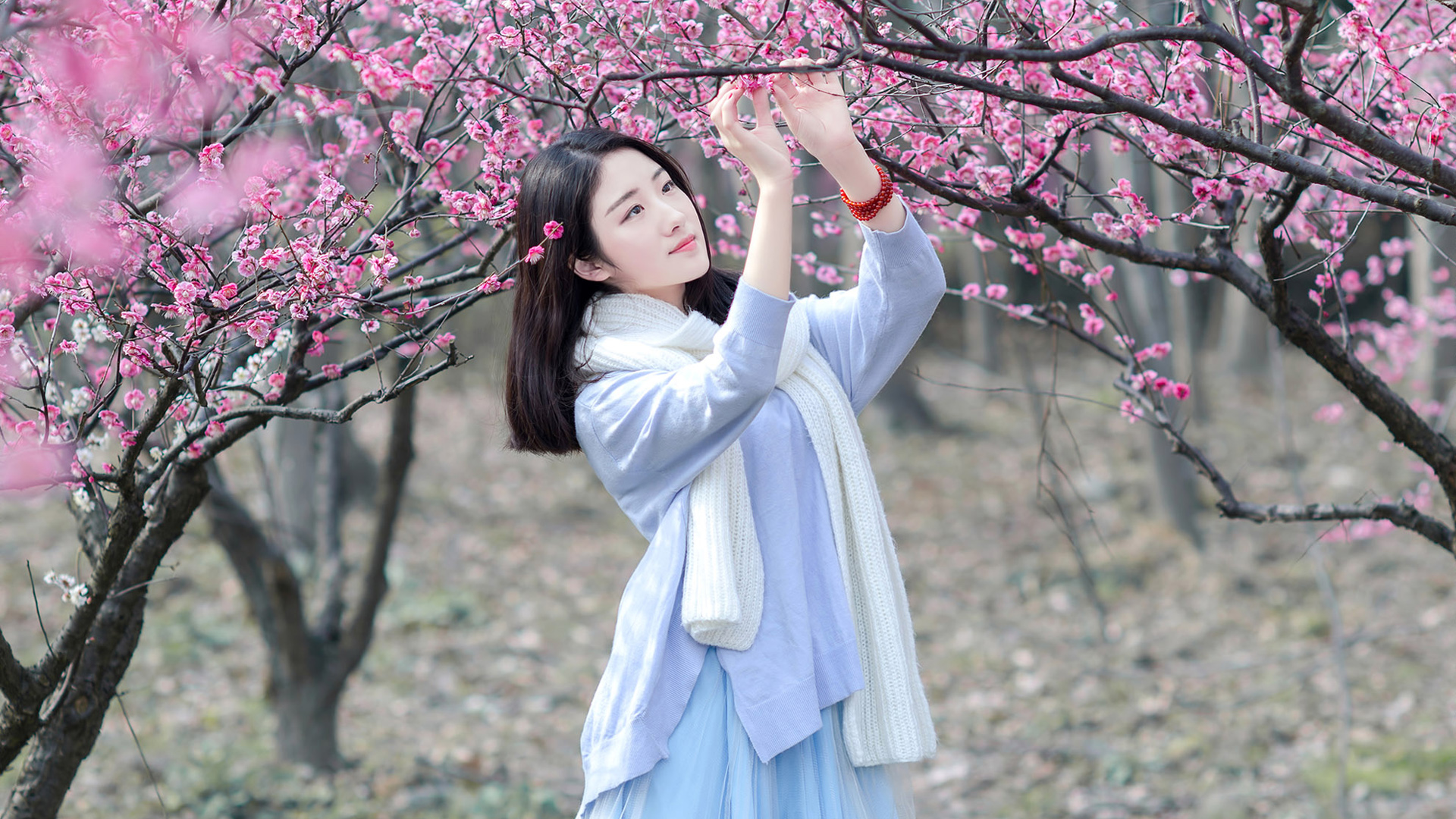 梅花清纯美丽女孩高清壁纸