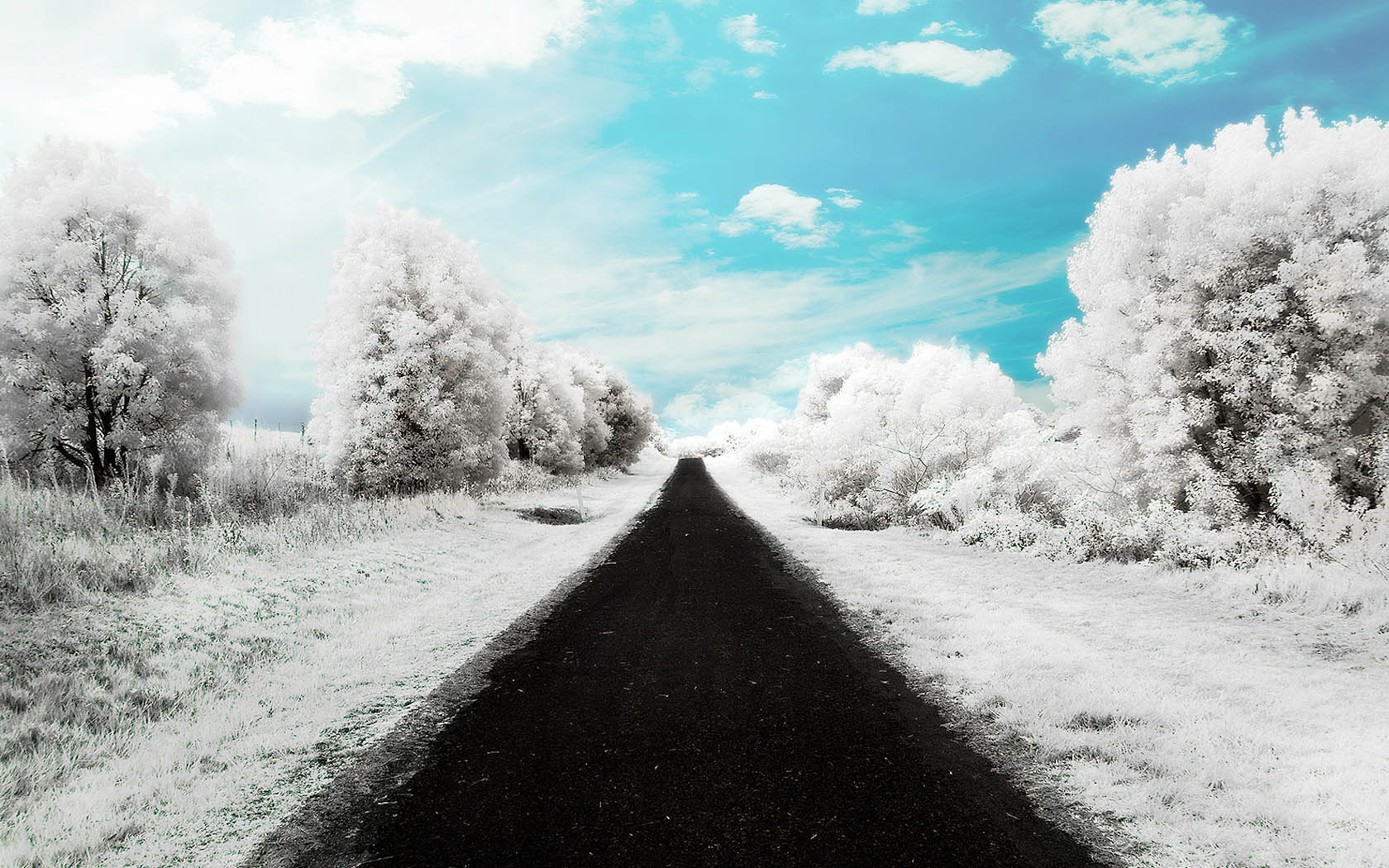 好看雪道路风景桌面高清壁纸