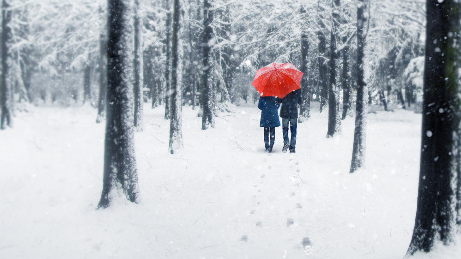漫步在冰雪世界里的情侣桌面高清壁纸
