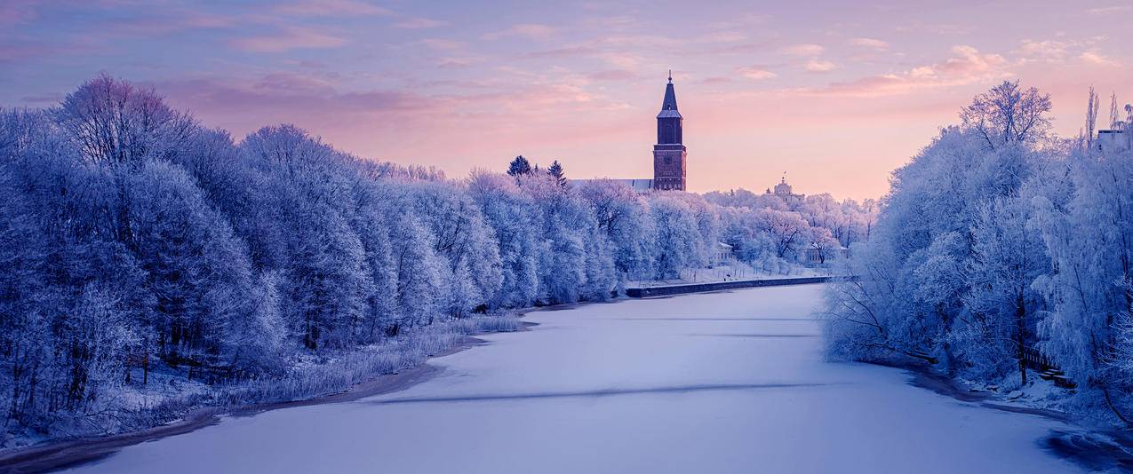 紫色 浪漫 雪景 5k 风景 高清壁纸