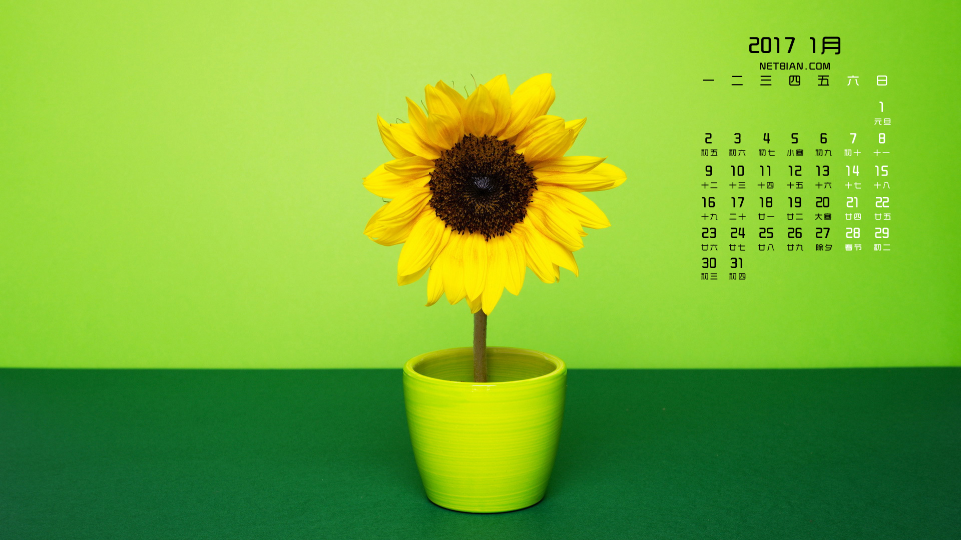 向日葵2017年1月日历桌面高清壁纸