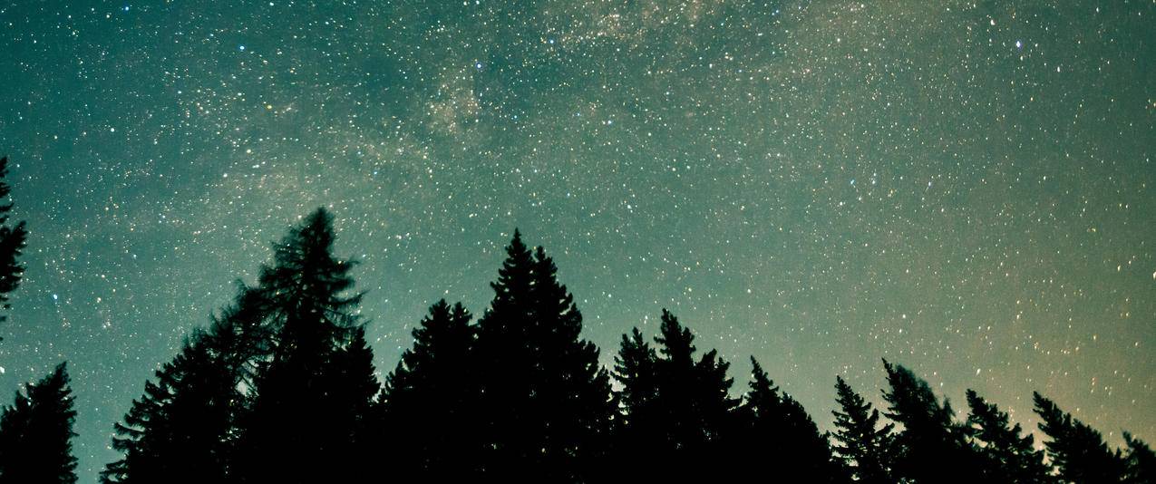 森林星空夜间风景带鱼屏高清壁纸