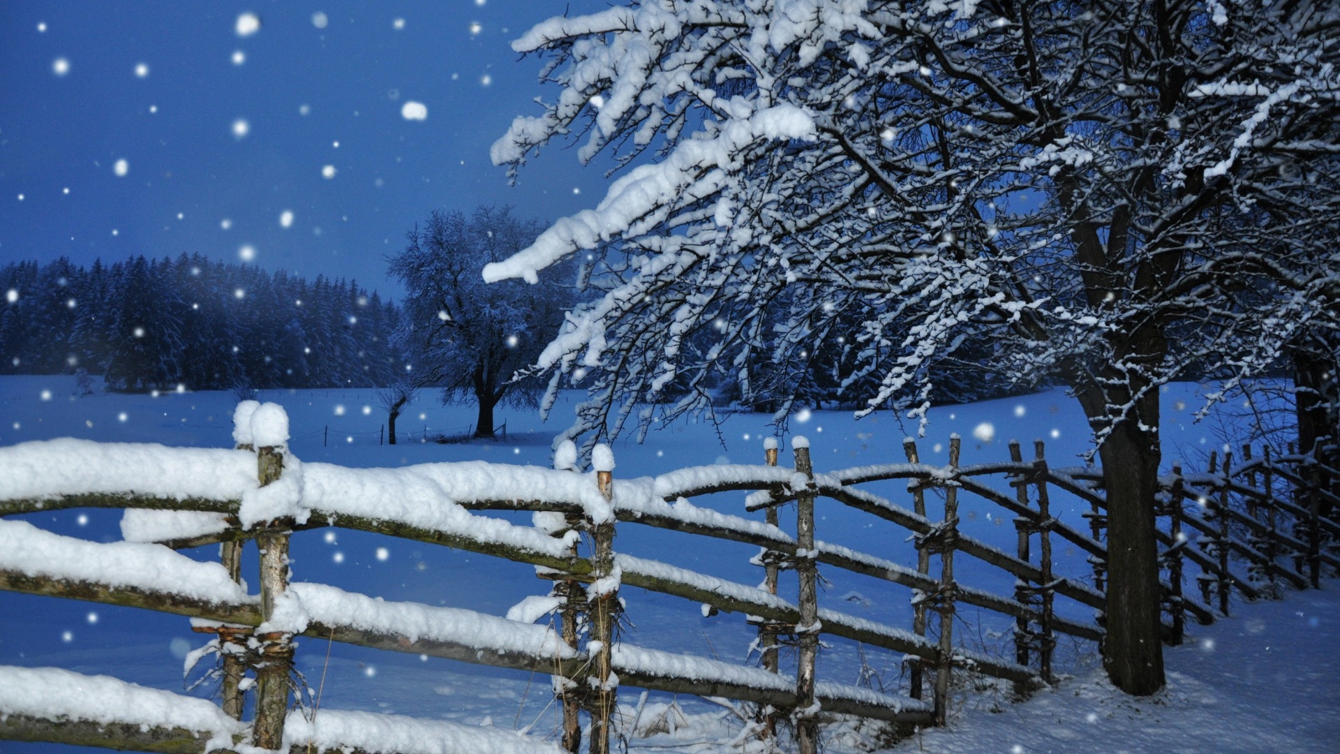 冬天,雪,飘雪,树,围栏,冬天风景桌面高清壁纸