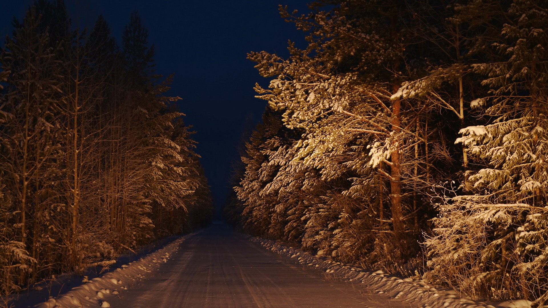 夜晚，森林的路，雪，冬季风景桌面高清壁纸