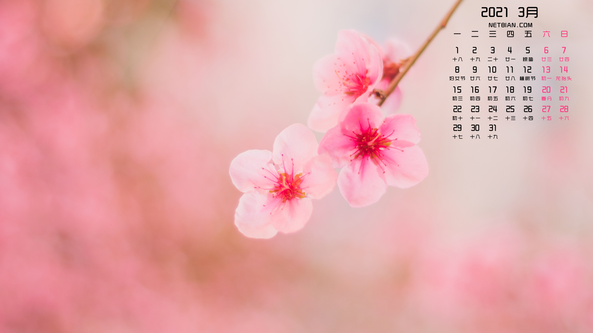 美丽桃花2021年3月日历桌面高清壁纸