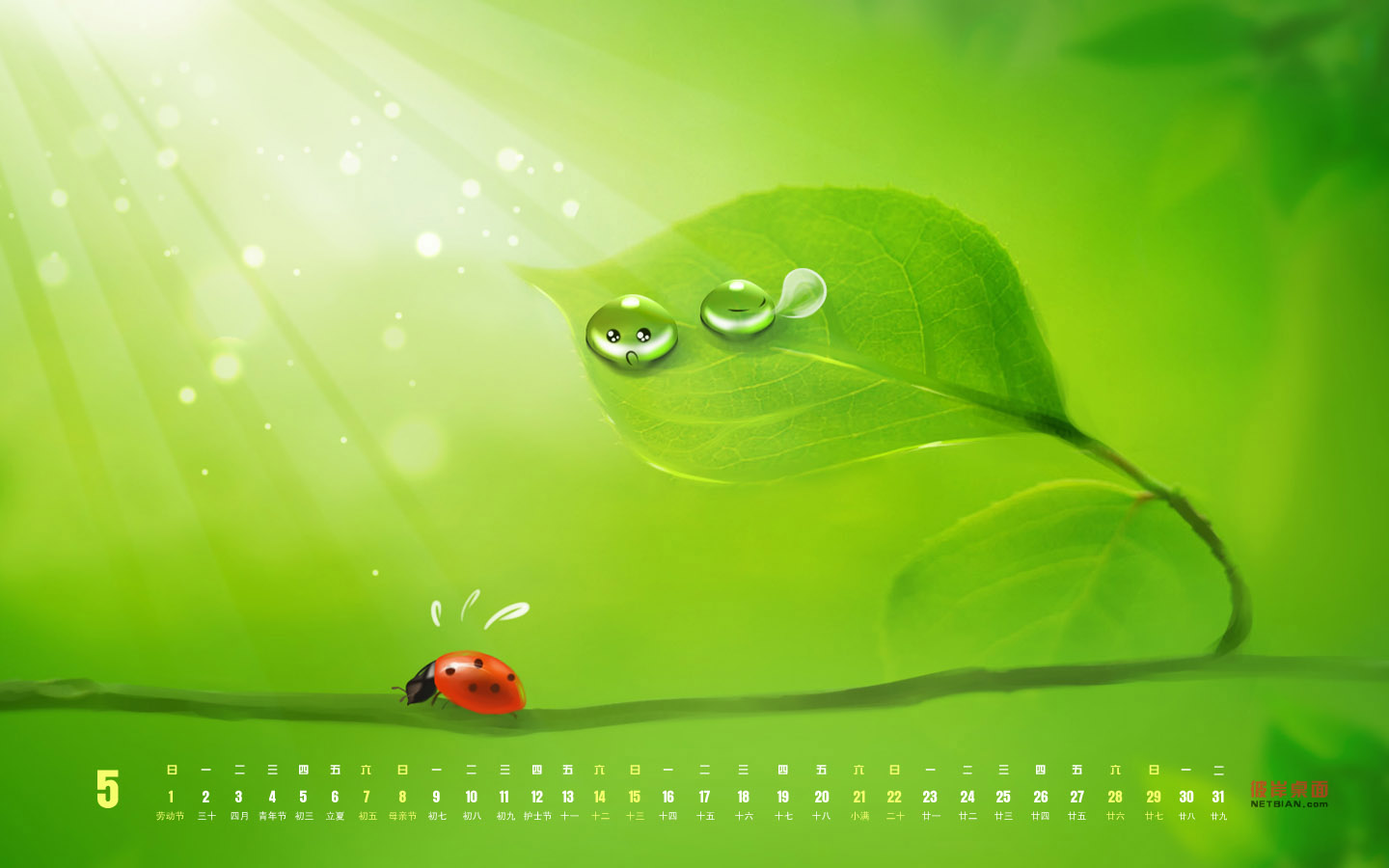 可爱的露珠2011年5月日历高清壁纸