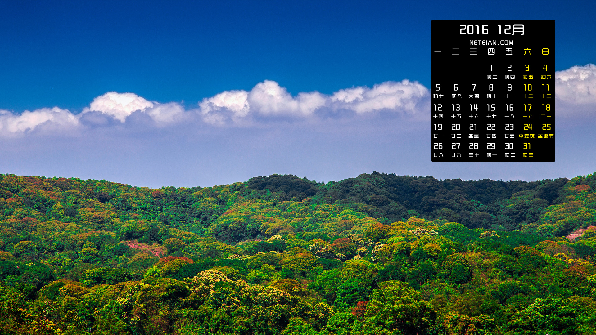 秋天树林天空风景2016年12月日历桌面高清壁纸
