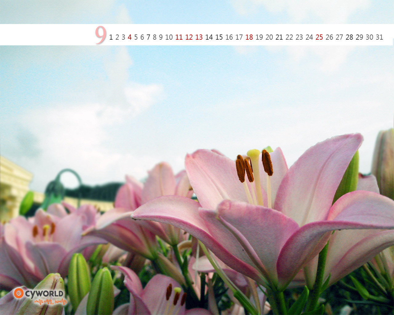 韩国cyworld2011年9月高清壁纸