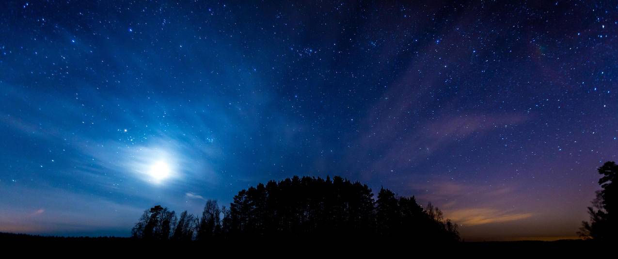 夜晚星空树林风景带鱼屏高清壁纸