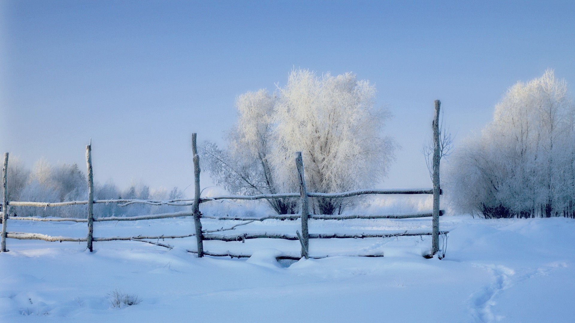 雪，早晨，雪栅栏，树林，冬天风景图片高清壁纸
