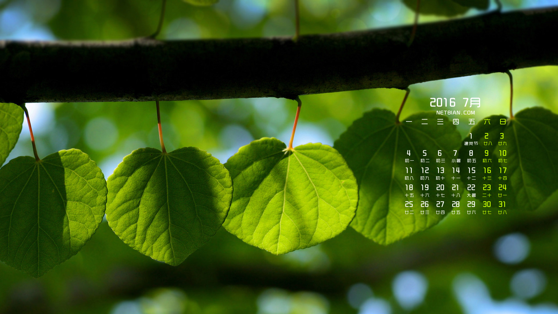 绿叶树枝2016年7月日历桌面高清壁纸