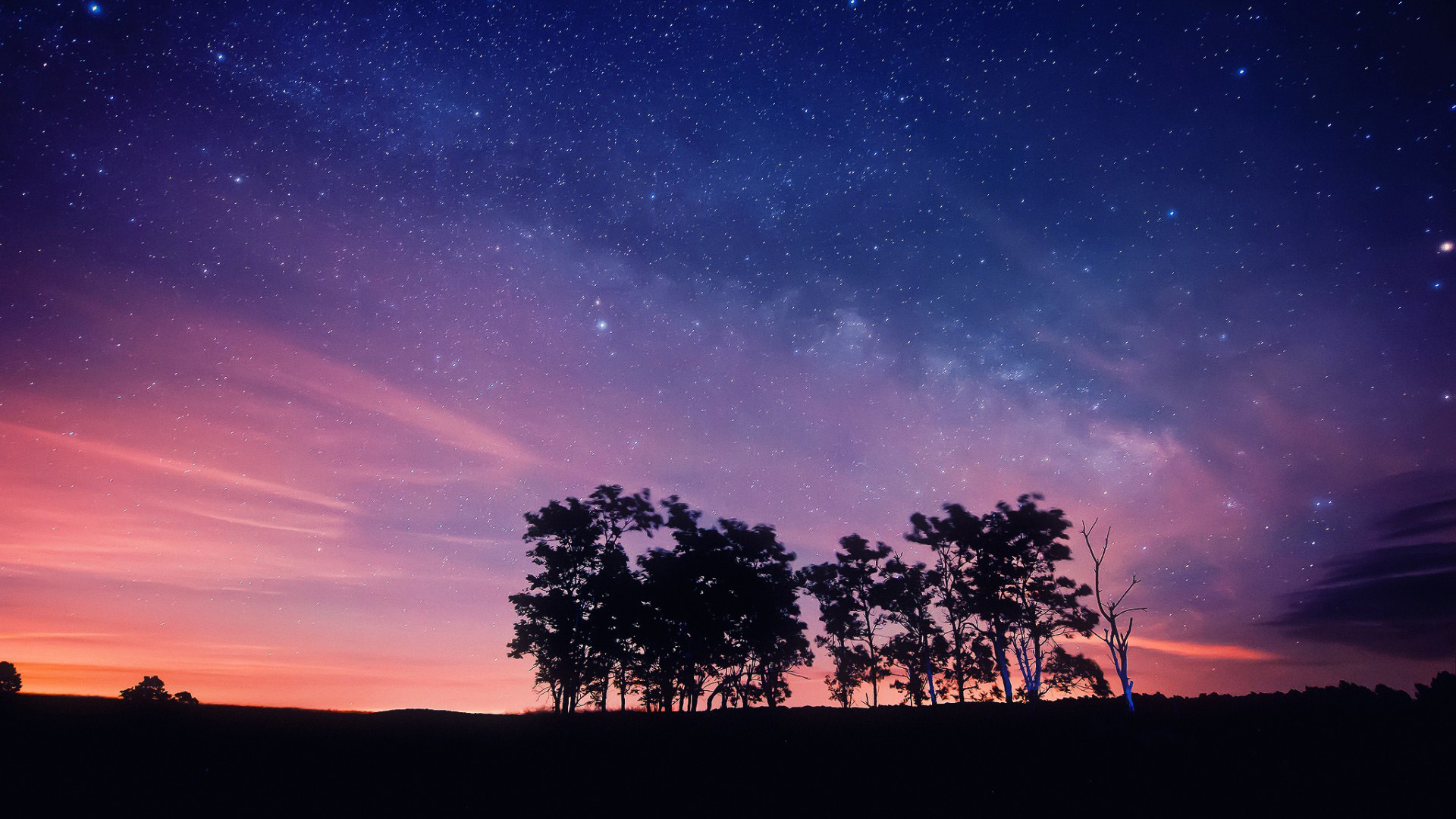 晚上,天空,星星,树木,梦幻般美丽风景桌面高清壁纸