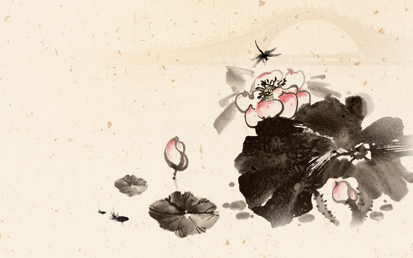 手绘蜻蜓点水桌面