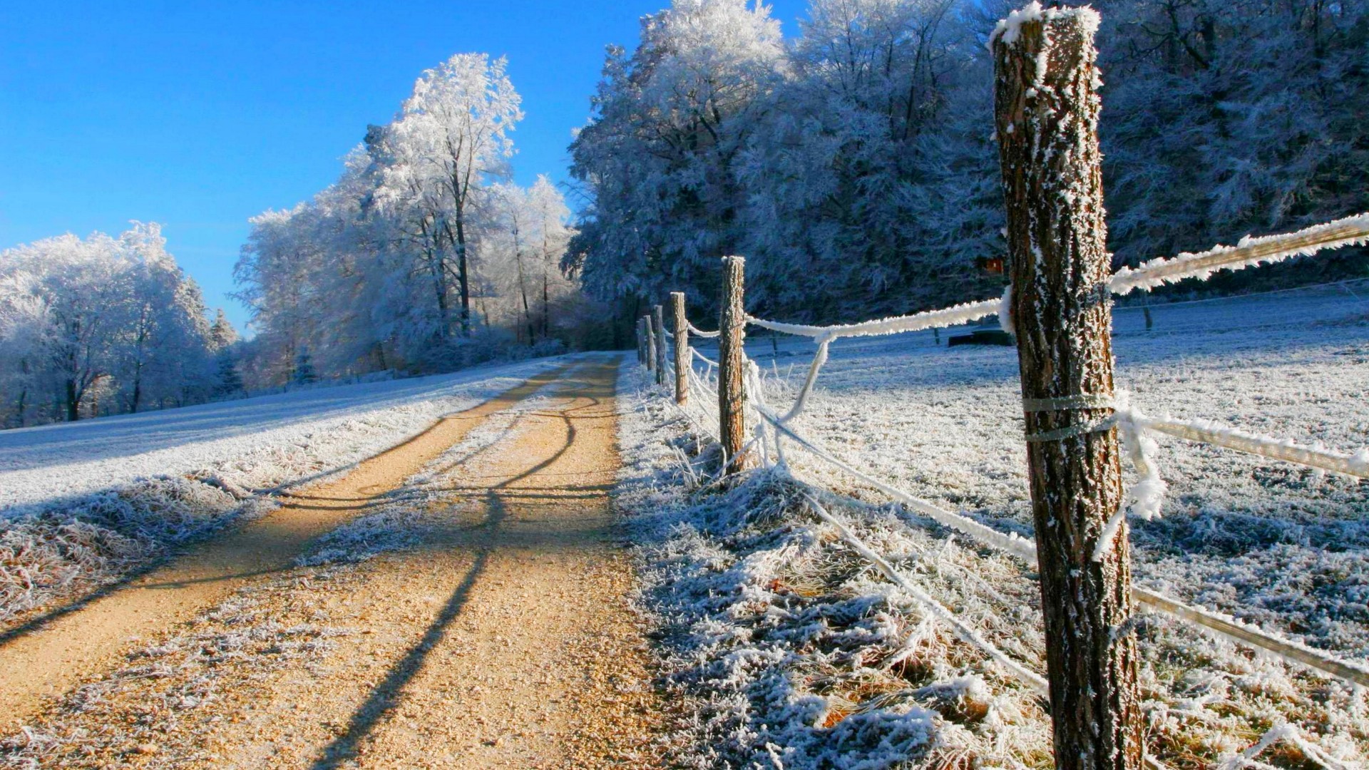 冬天,雪,道路,树,栅栏,风景桌面高清壁纸