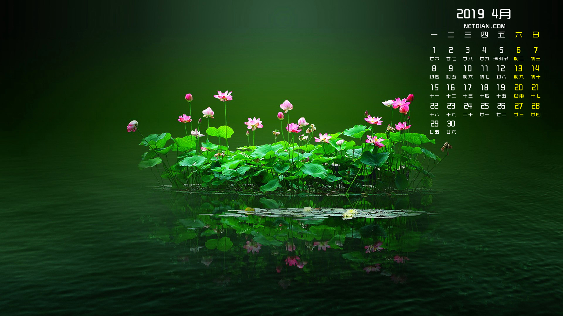 荷花2019年4月日历桌面高清壁纸