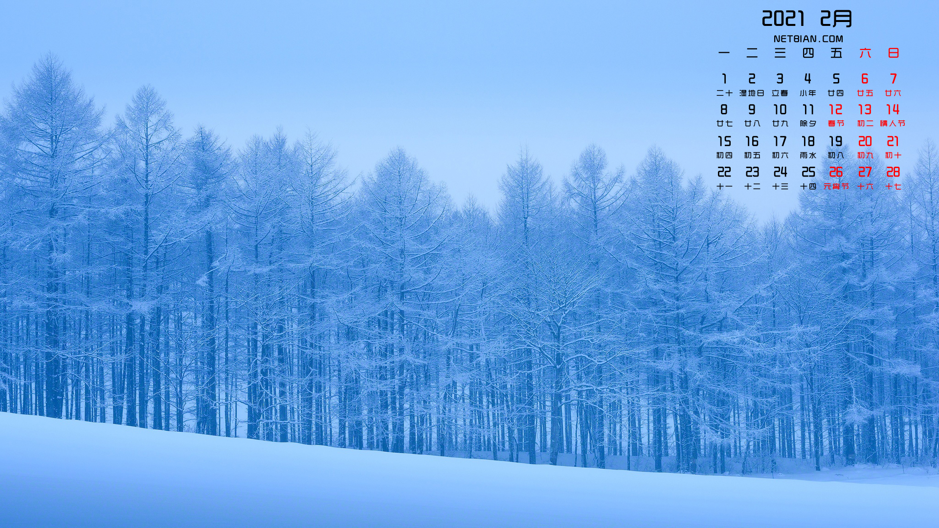 冬天树林风景2021年2月日历桌面高清壁纸