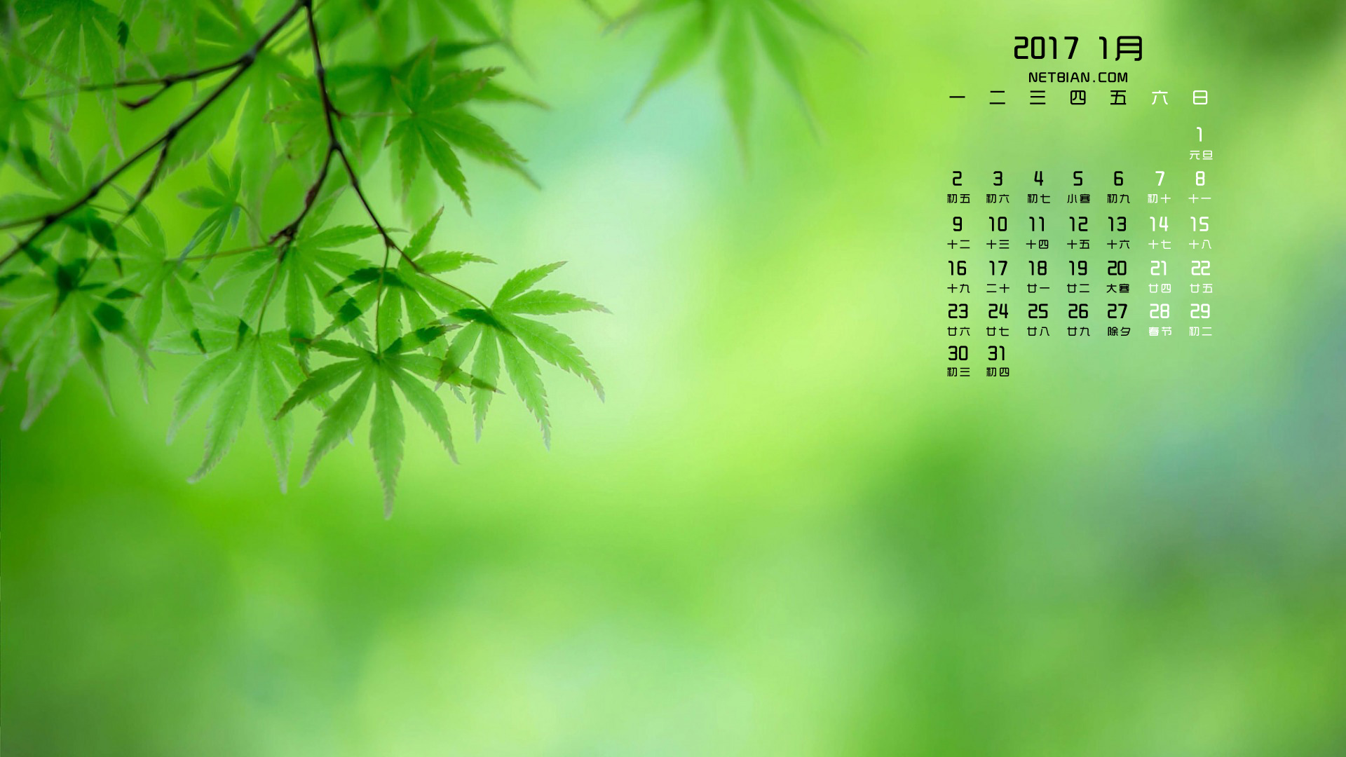 自然树叶风景2017年1月日历桌面高清壁纸