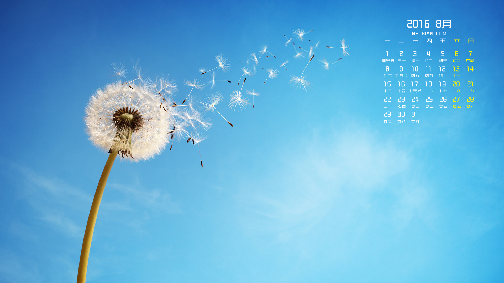 蒲公英天空2016年8月日历电脑桌面高清壁纸