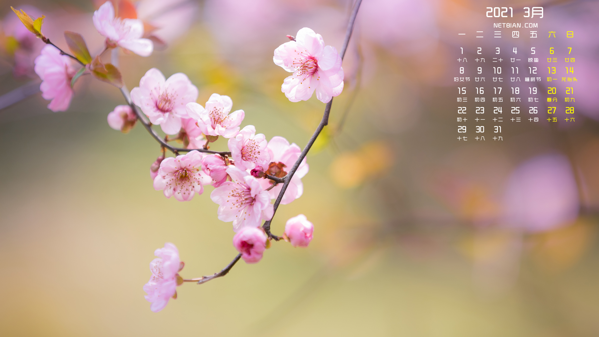春天桃花2021年3月日历桌面高清壁纸