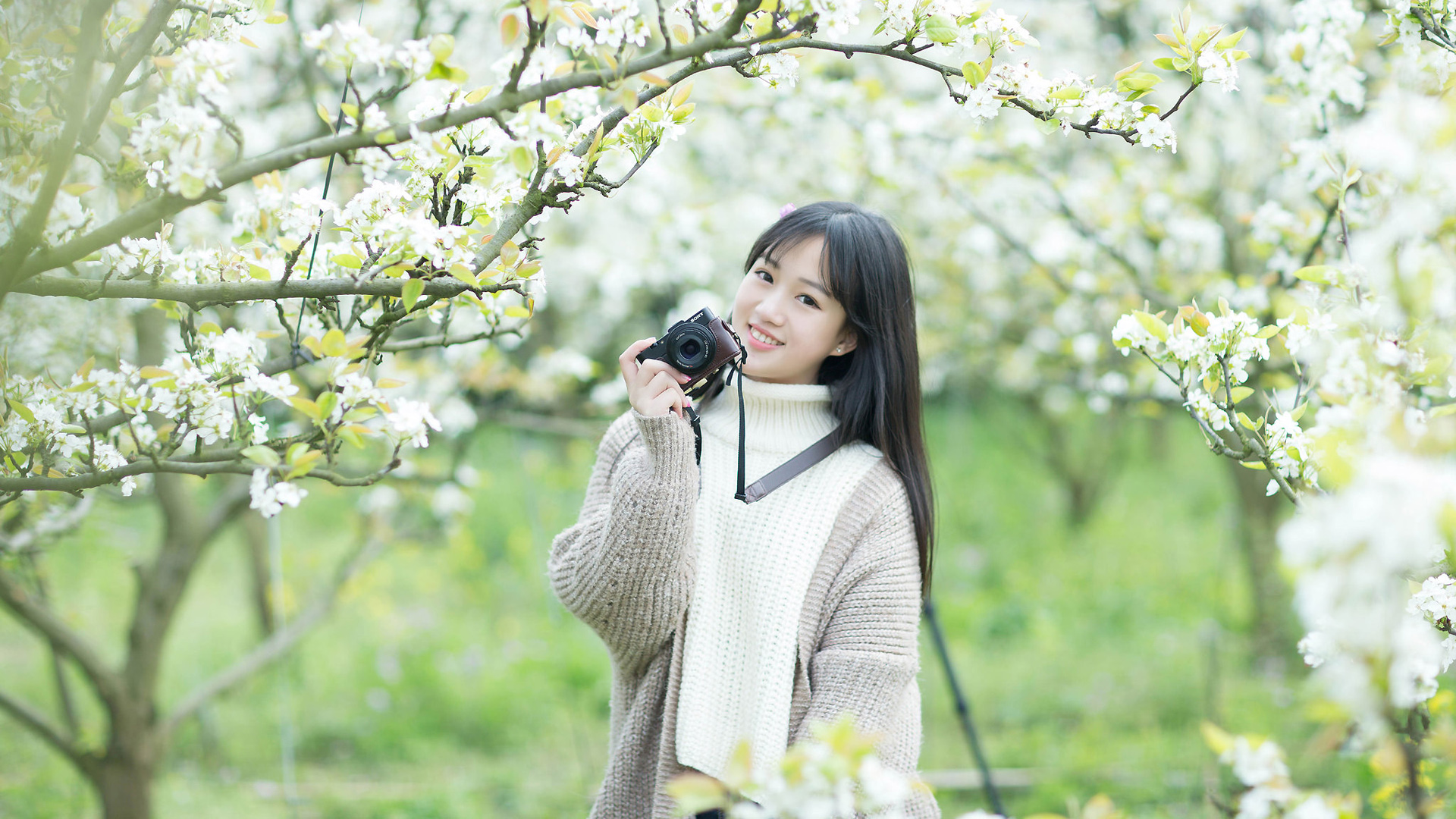 花开花落 甜美微笑的女孩桌面高清壁纸