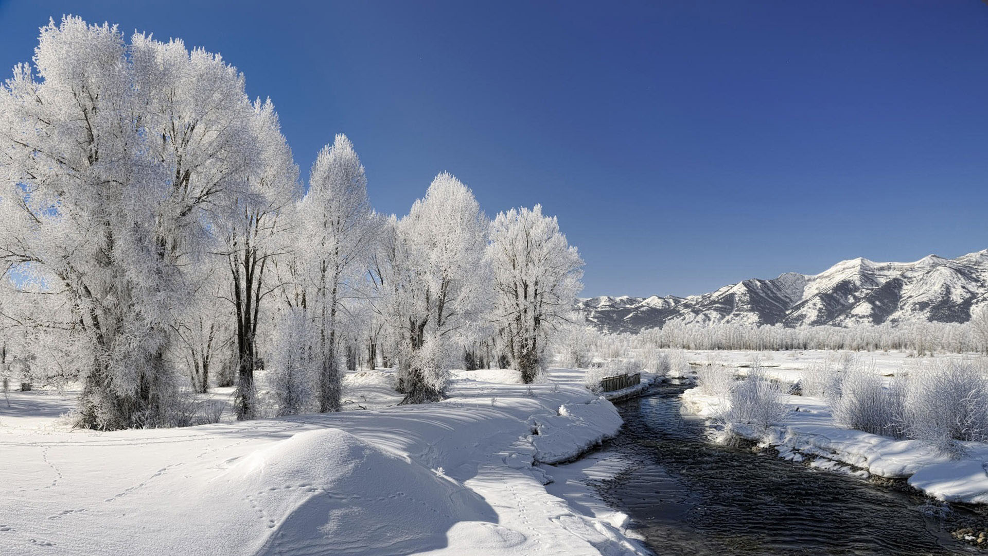 冬季雪白风景桌面高清壁纸