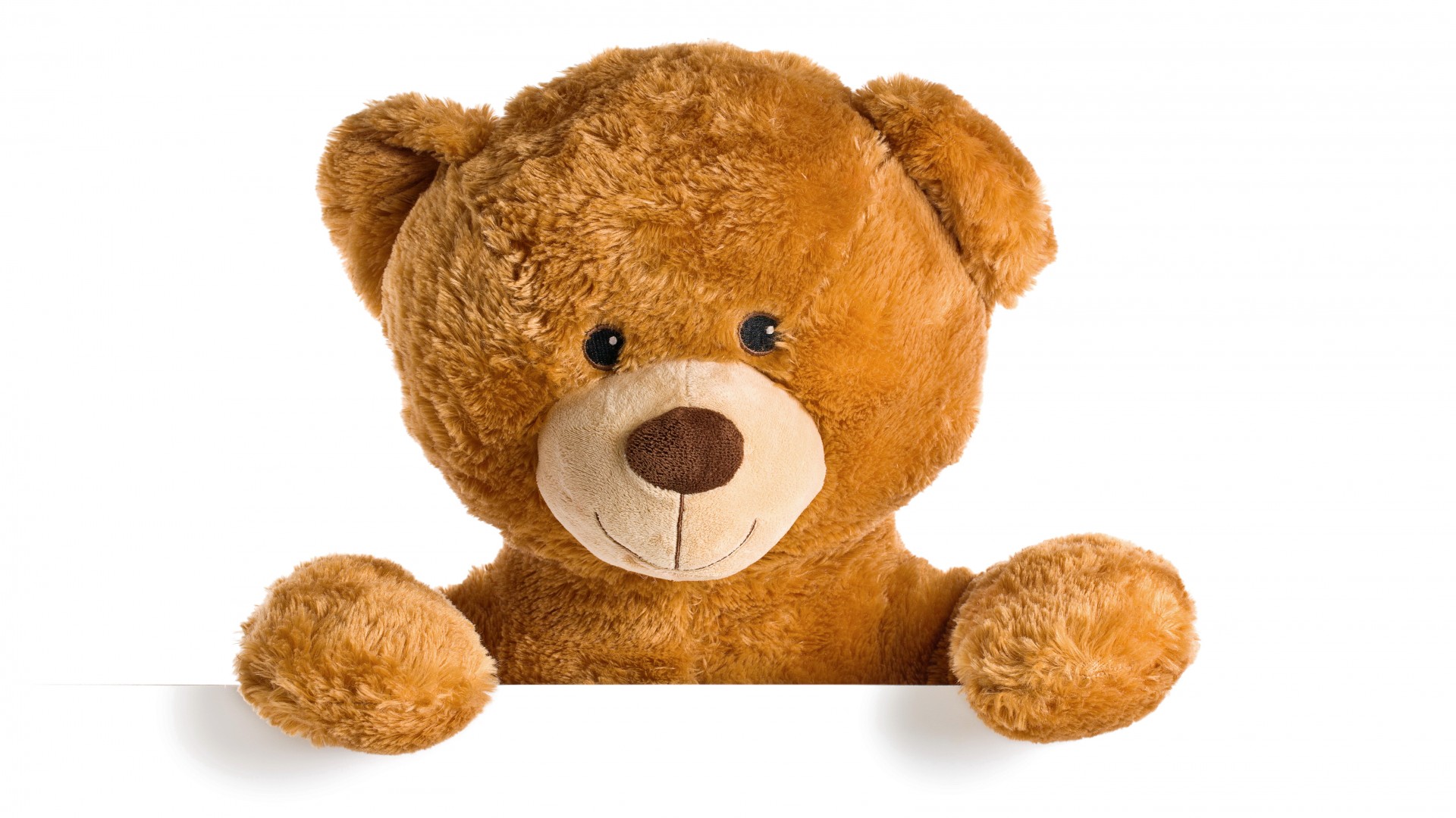 泰迪熊，熊，玩具，可爱，泰迪熊，桌面高清壁纸