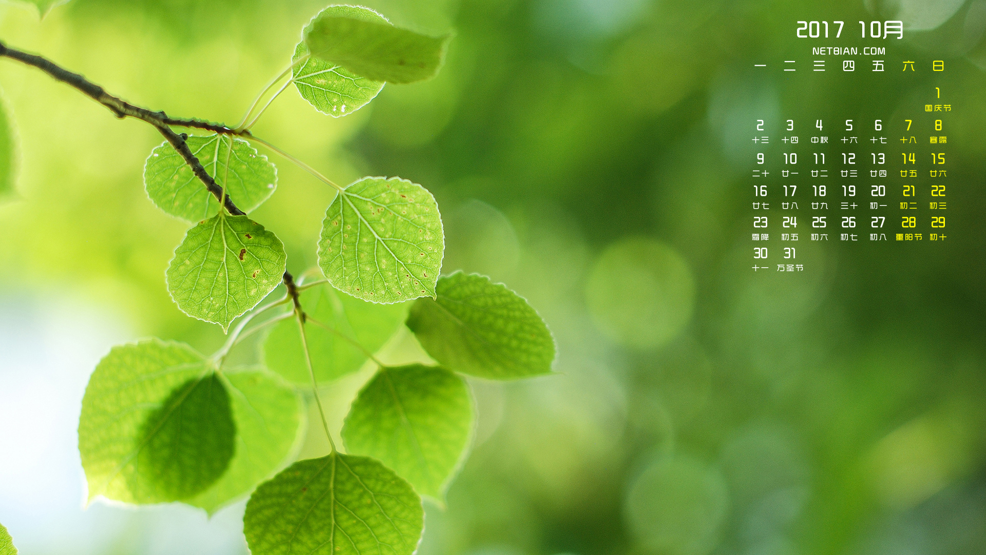 护眼树叶2017年10月日历高清壁纸