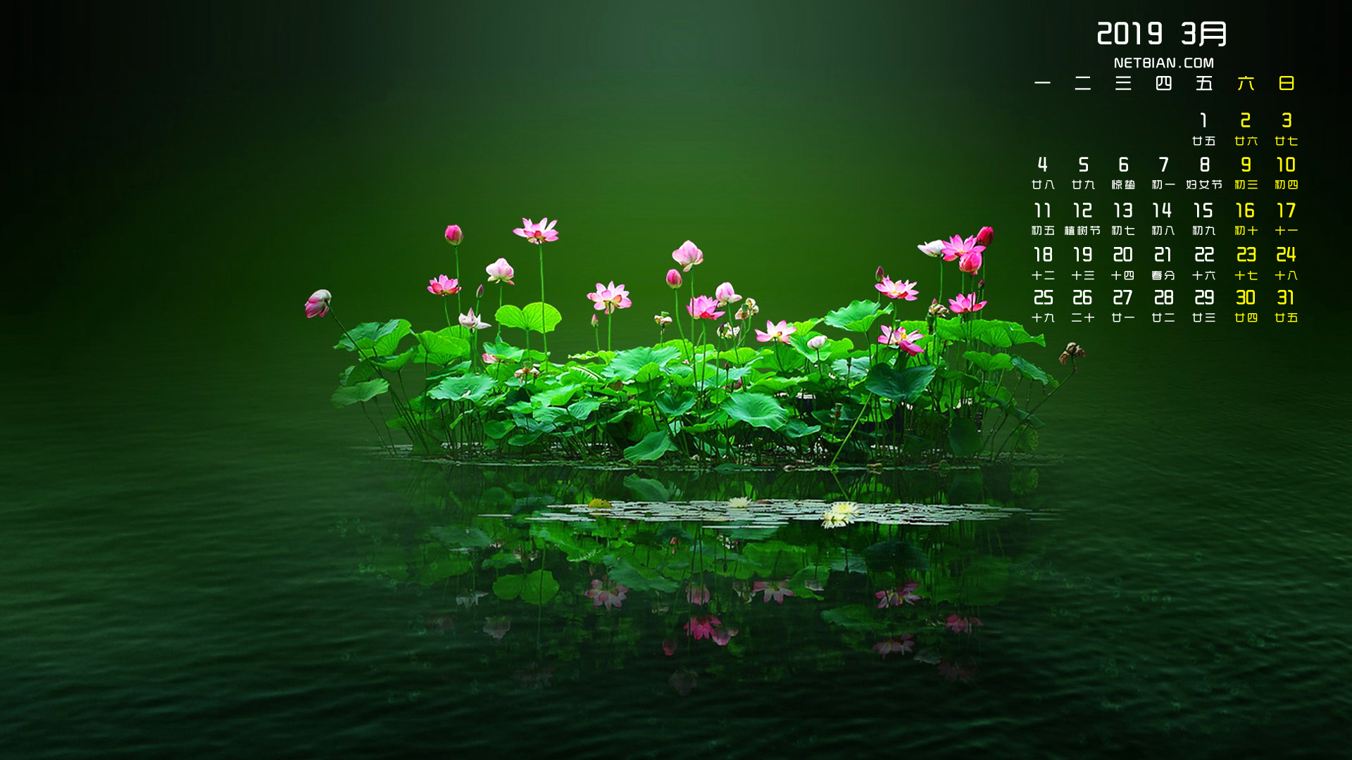 荷花2019年3月日历桌面高清壁纸
